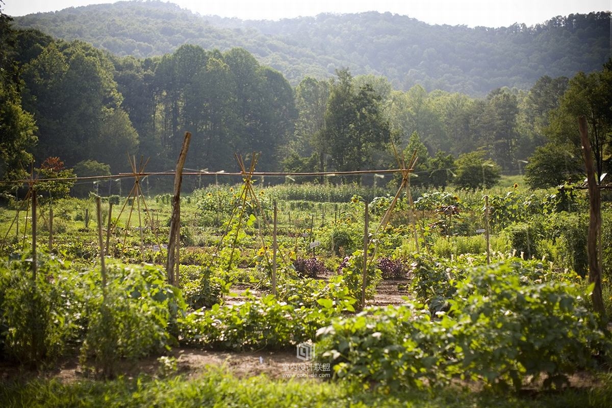 美国田纳西州农庄酒店-71
