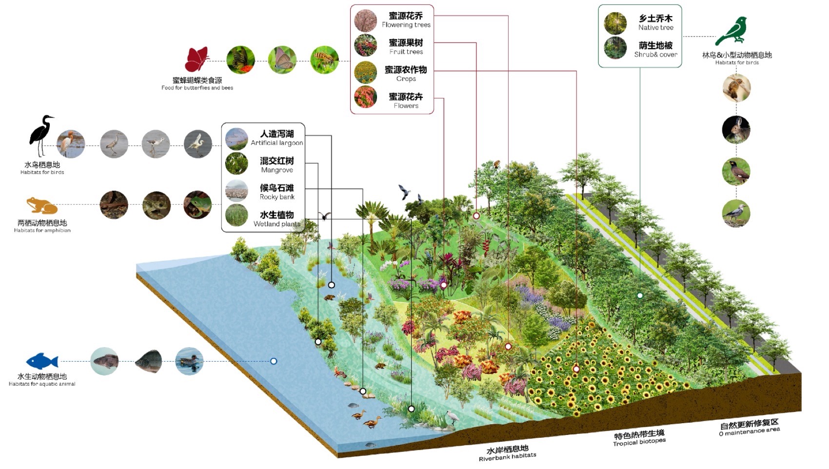 海棠河生态公园二期景观设计丨中国三亚丨LOLA Landscape Architects-18