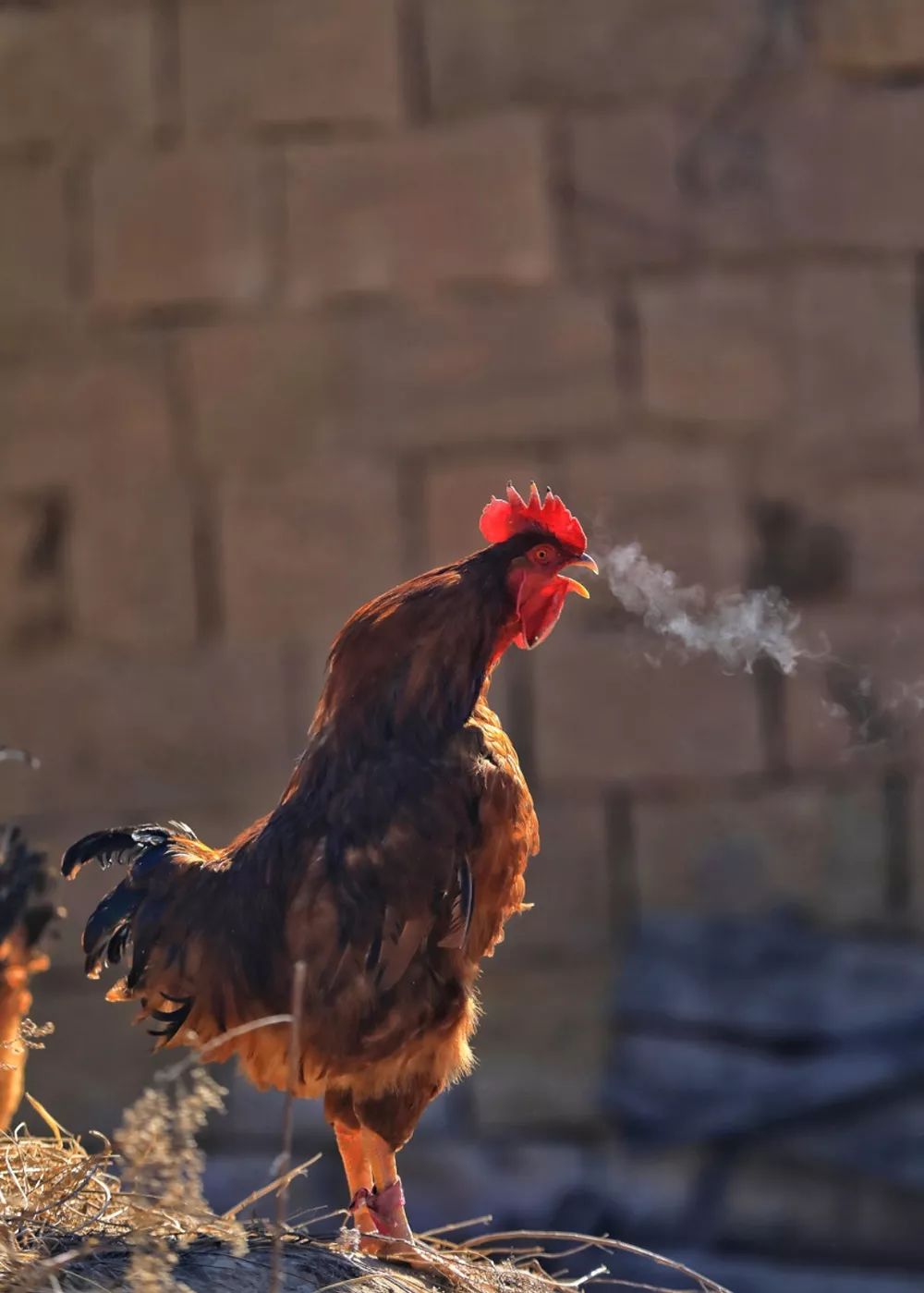乡愁的味道 | 美食与室内设计-73