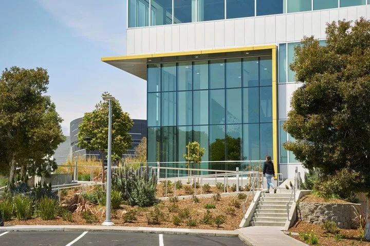 加州布里斯班滨海大道办公大楼室内外改造-14