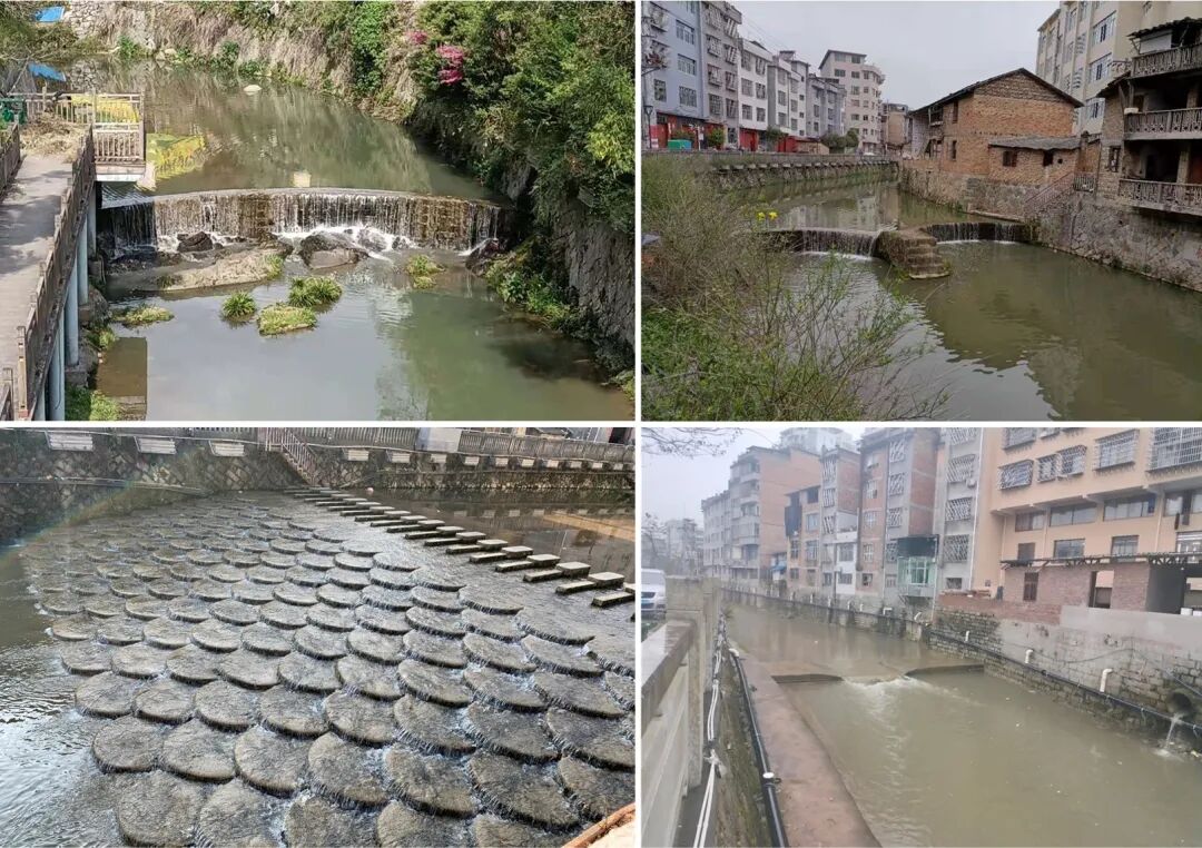 法开署屏南生态修复项目丨中国宁德丨诺蒂奇工程咨询有限公司-28