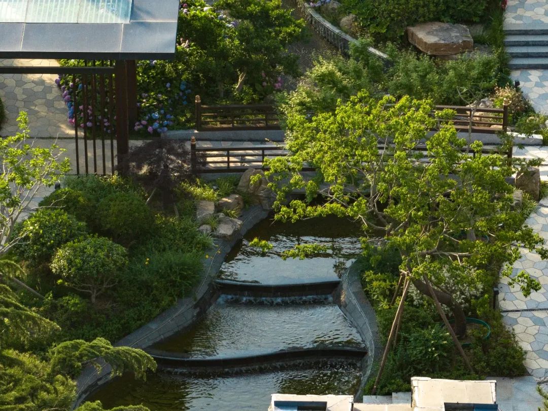 二象复合的城市复甦,中国纺织工人疗养院酒店丨中国青岛丨联创域韬景观-36