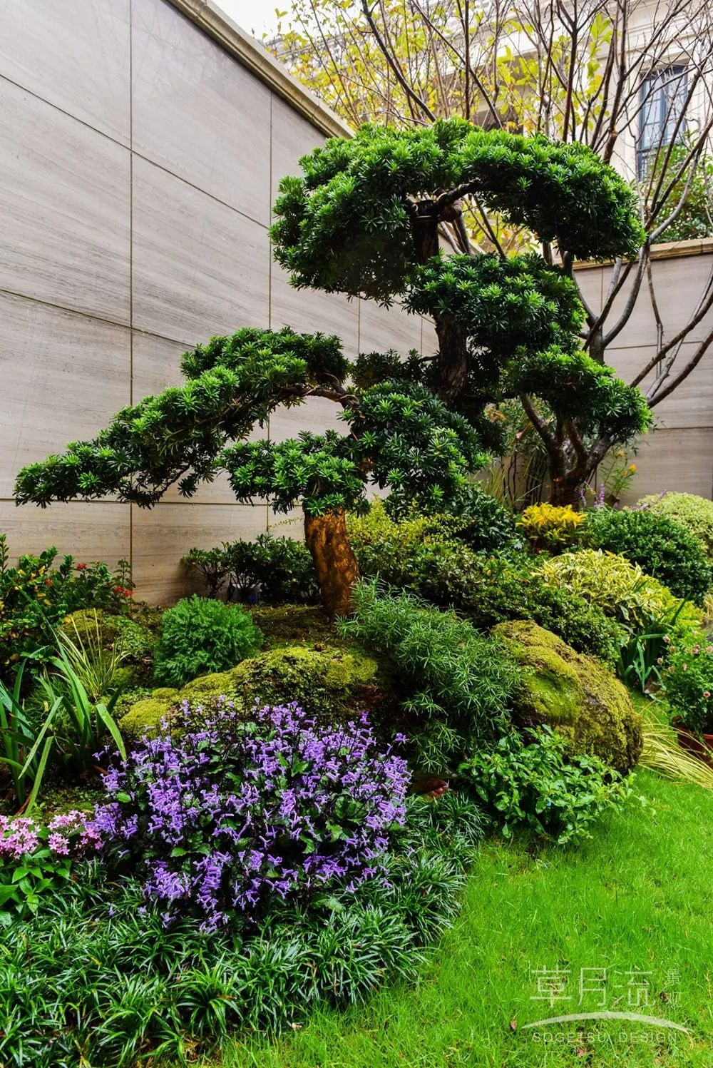 溪上玫瑰园 | 山水间的诗意生活-21