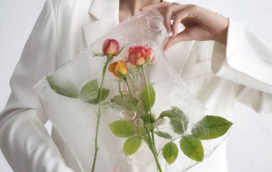 孟也打造“外 WHYGARDEN”家居品牌,呈现极光主题空间-10