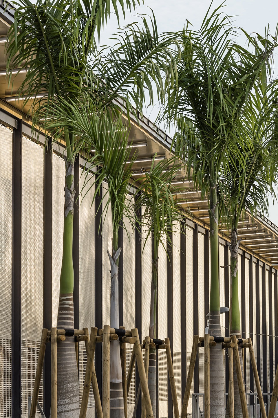 PointeàPitre 法院丨印度丨Ignacio Prego Architectures-18