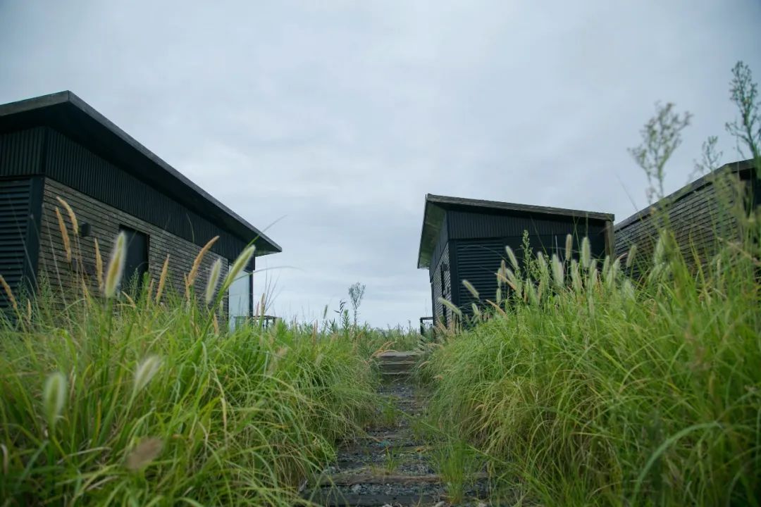 一尺花园（龙湾度假区店）星空屋民宿-123