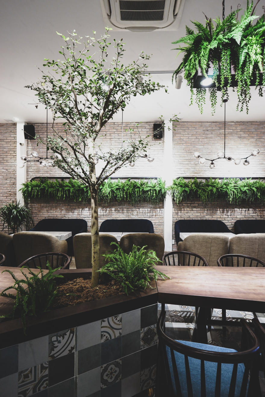 植物与咖啡的现代空间融合-22
