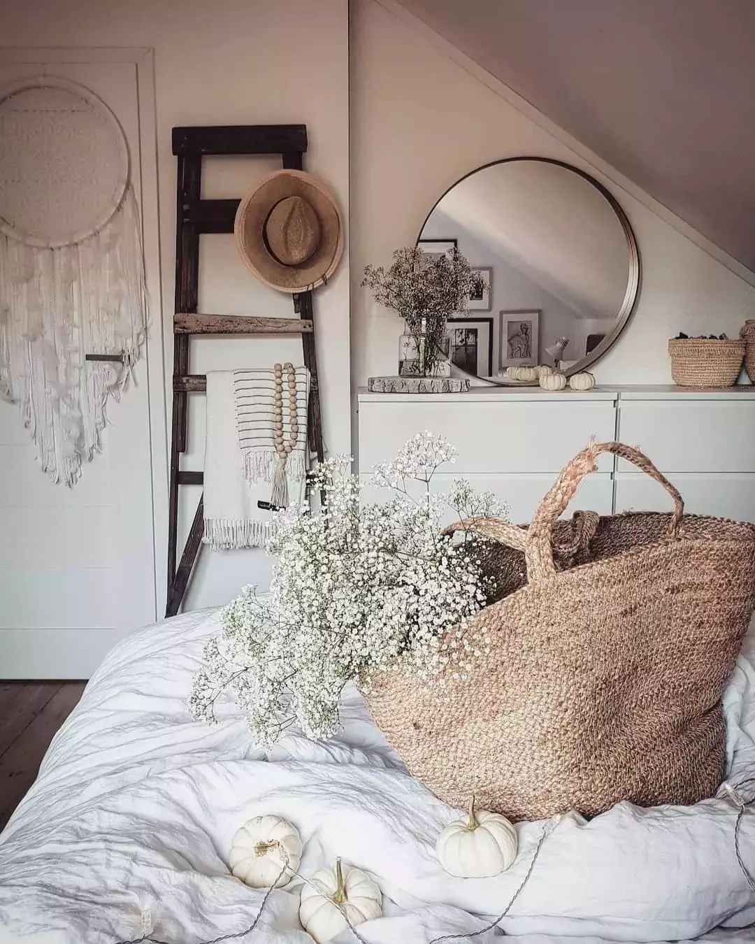 绿植装点现代家居，事半功倍！-25