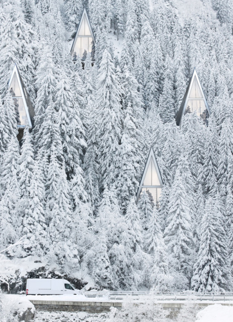 Residências ecológicas situadas em florestas  | Arquitêta-13