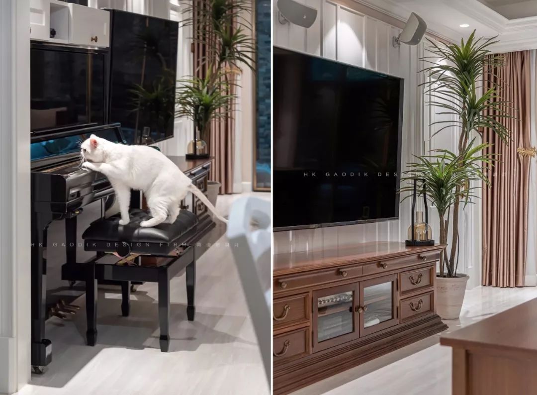 高迪愙实景 |  一个人，一方庭院，两只猫，南京女孩的北京生活图鉴-84