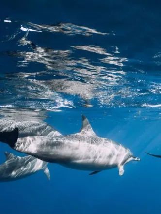 海上世界丨中国上海丨J&A杰恩设计-12