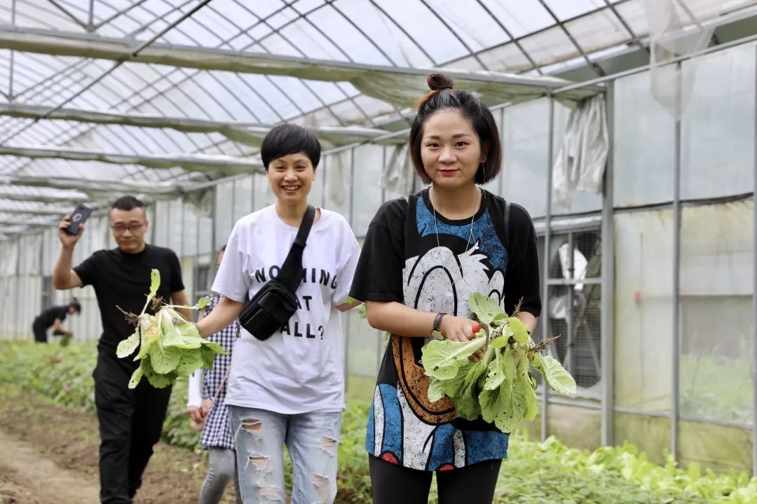 山高水长,农庄诗意的栖居-16