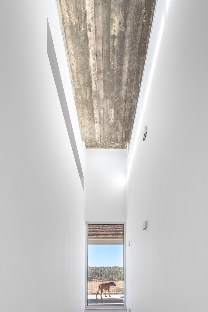 以色列 Goldwasser 别墅丨Architextit Einat ErezKobiler-38