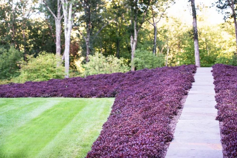 四月花海 | 迪拜奇迹花园的植栽设计-231