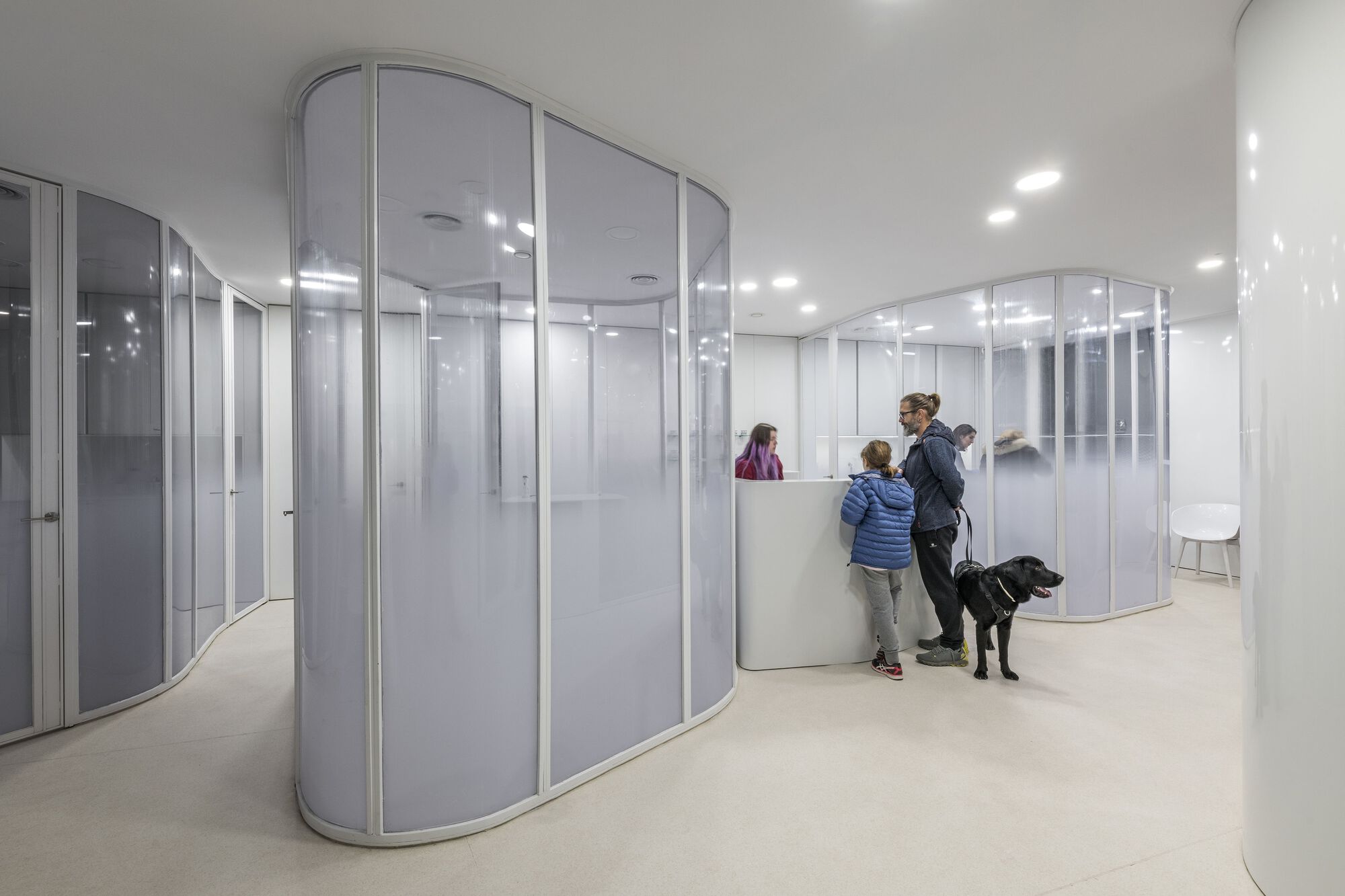 Rosvet 兽医诊所丨西班牙丨VIDA Arquitectura-14