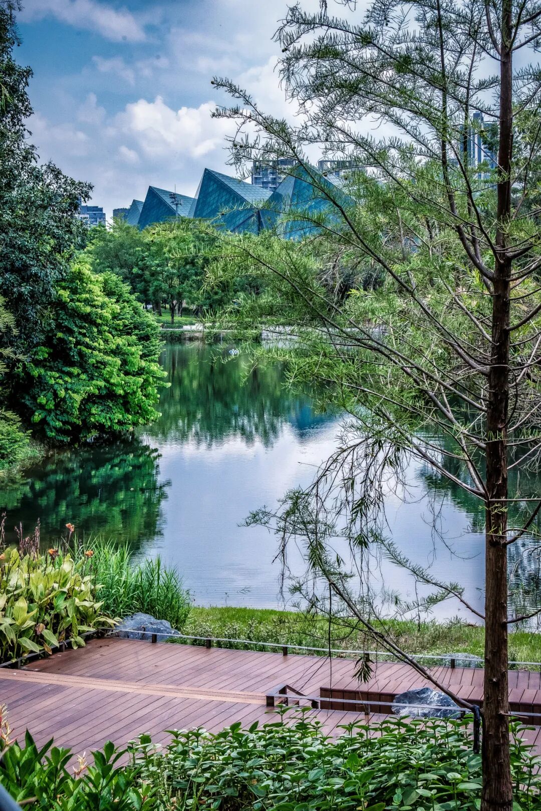 大运智慧公园之湖间|湖上一回首，青山卷白云-32