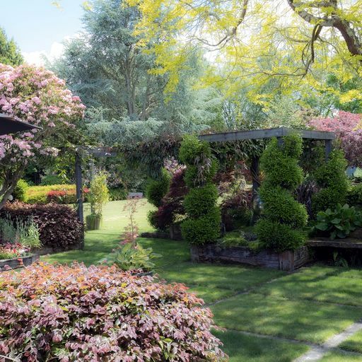 Omaka Lodge花园丨Chris（景观及室内设计师）-1