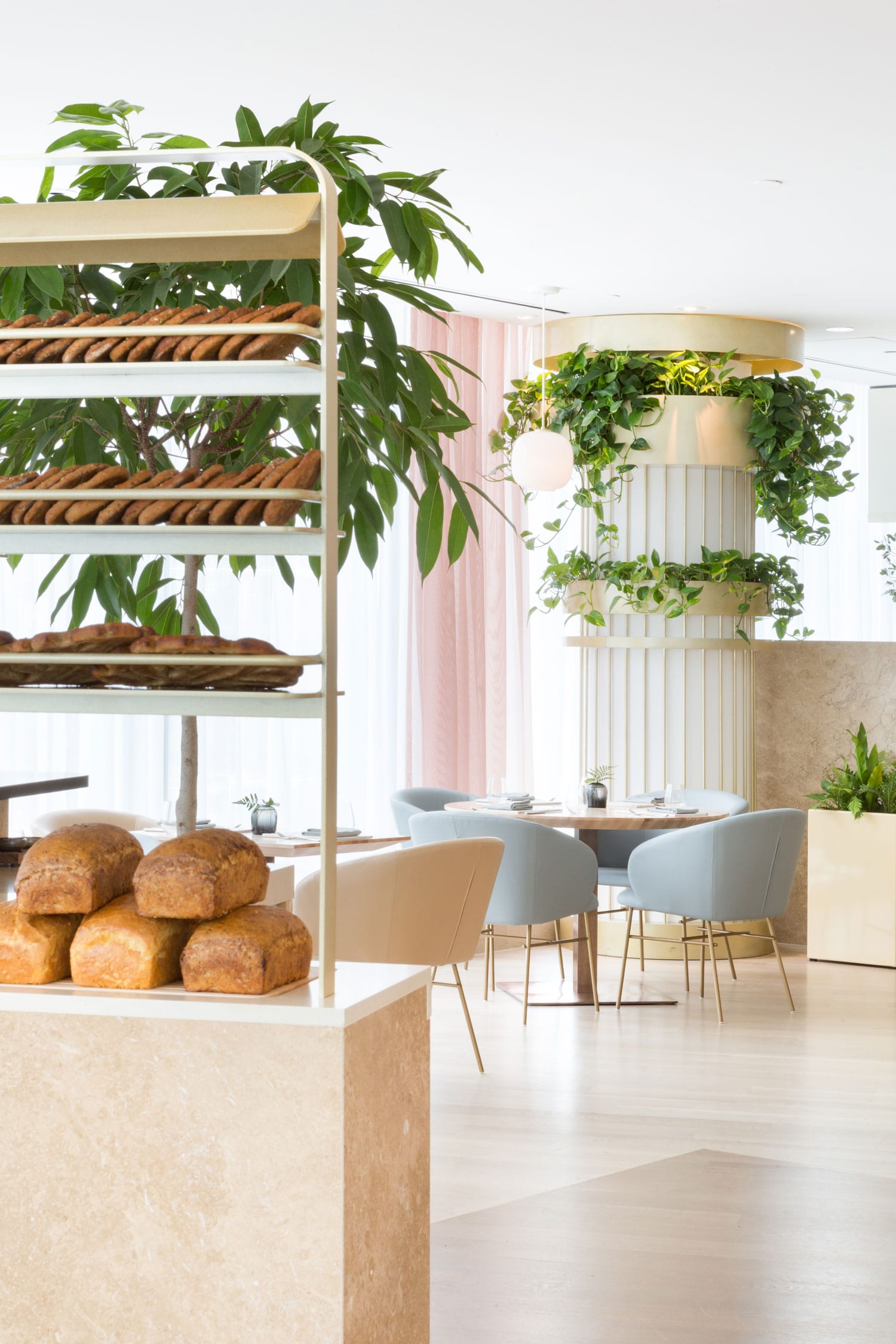 温哥华"植物学家"餐厅 | 沉浸式的自然体验-25