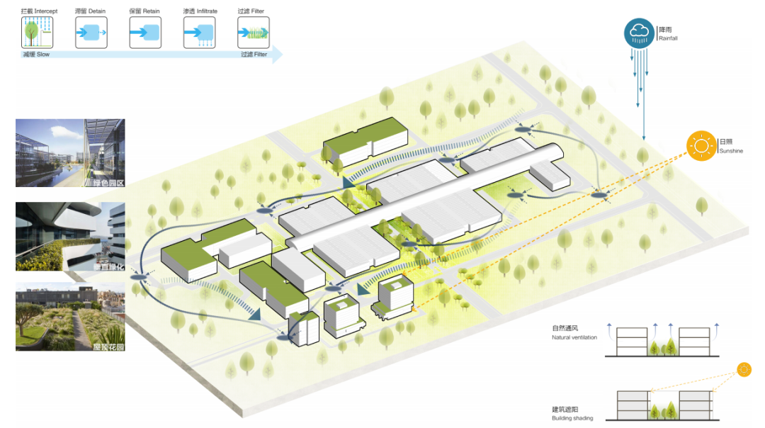 亚泰赋能阳春农业产业链升级：阳春冷链物流园筑就大湾区农产品流通新枢纽~-62