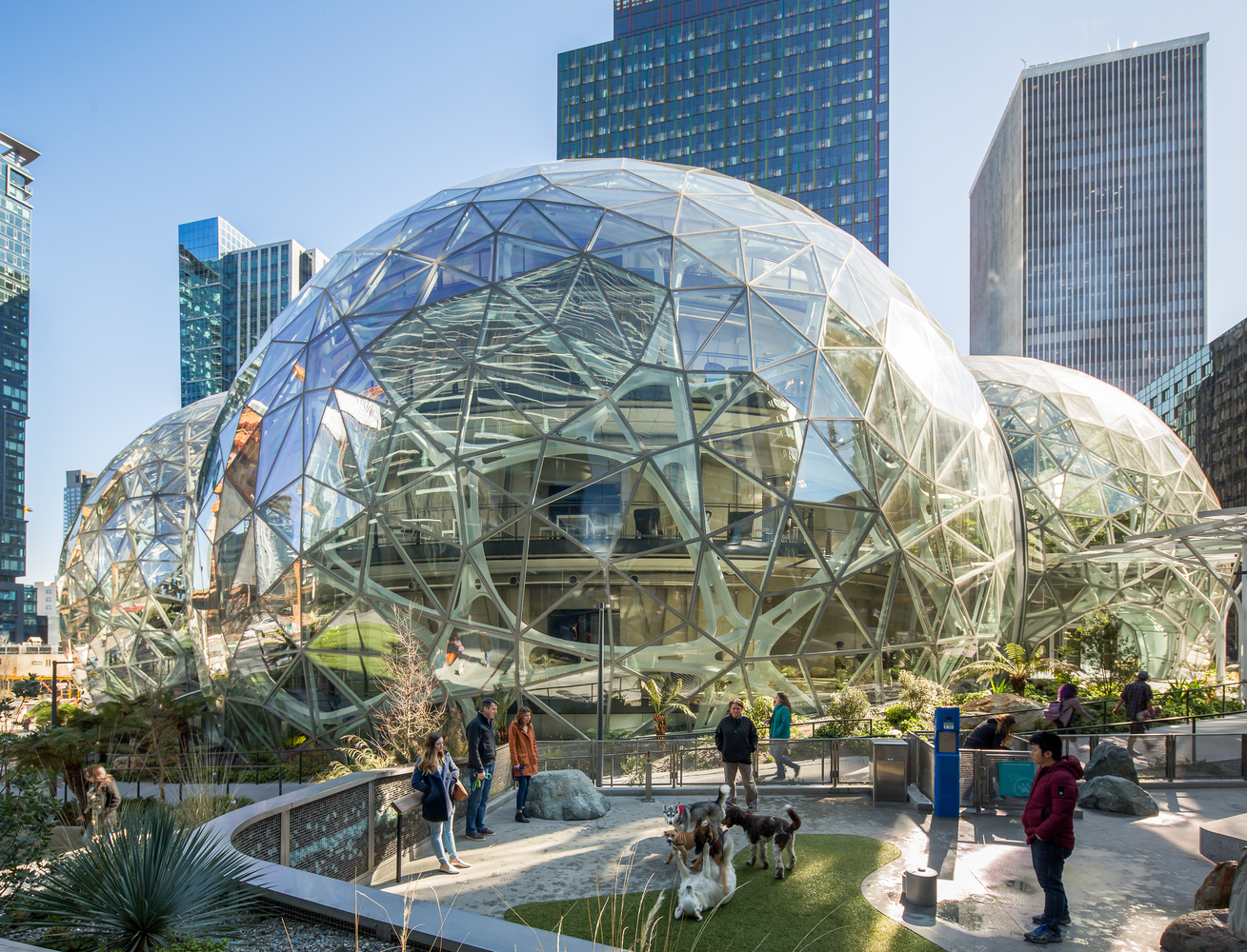 绿意盎然 Amazon Spheres 室内设计赏析-5