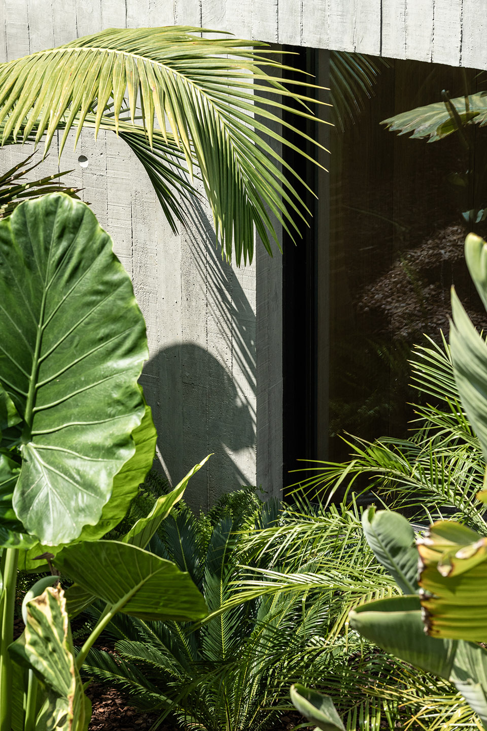 Colinas之家丨葡萄牙丨Atelier Data-39