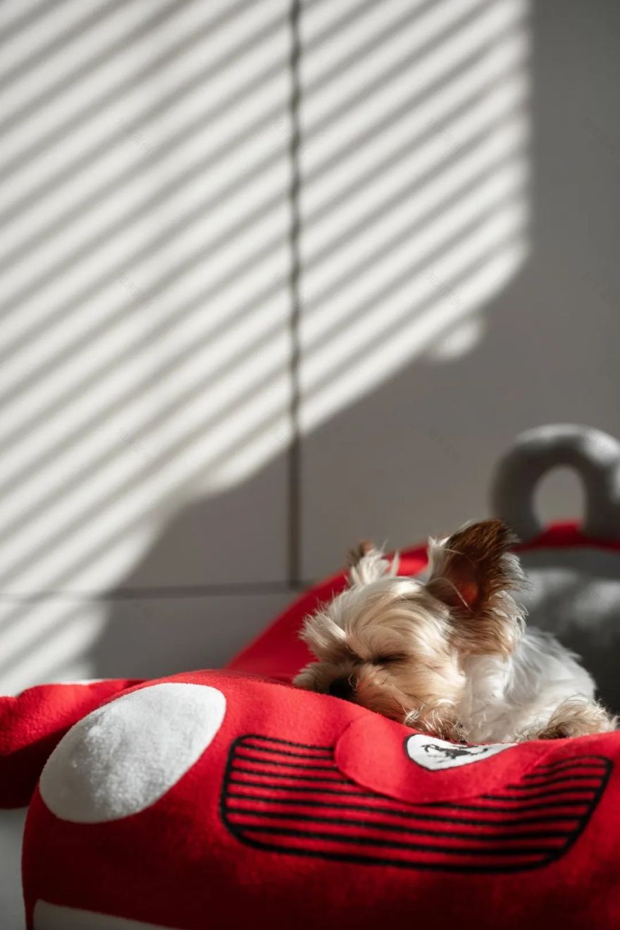 设计师柯沅伽自宅丨中国重庆丨MS MORE-31