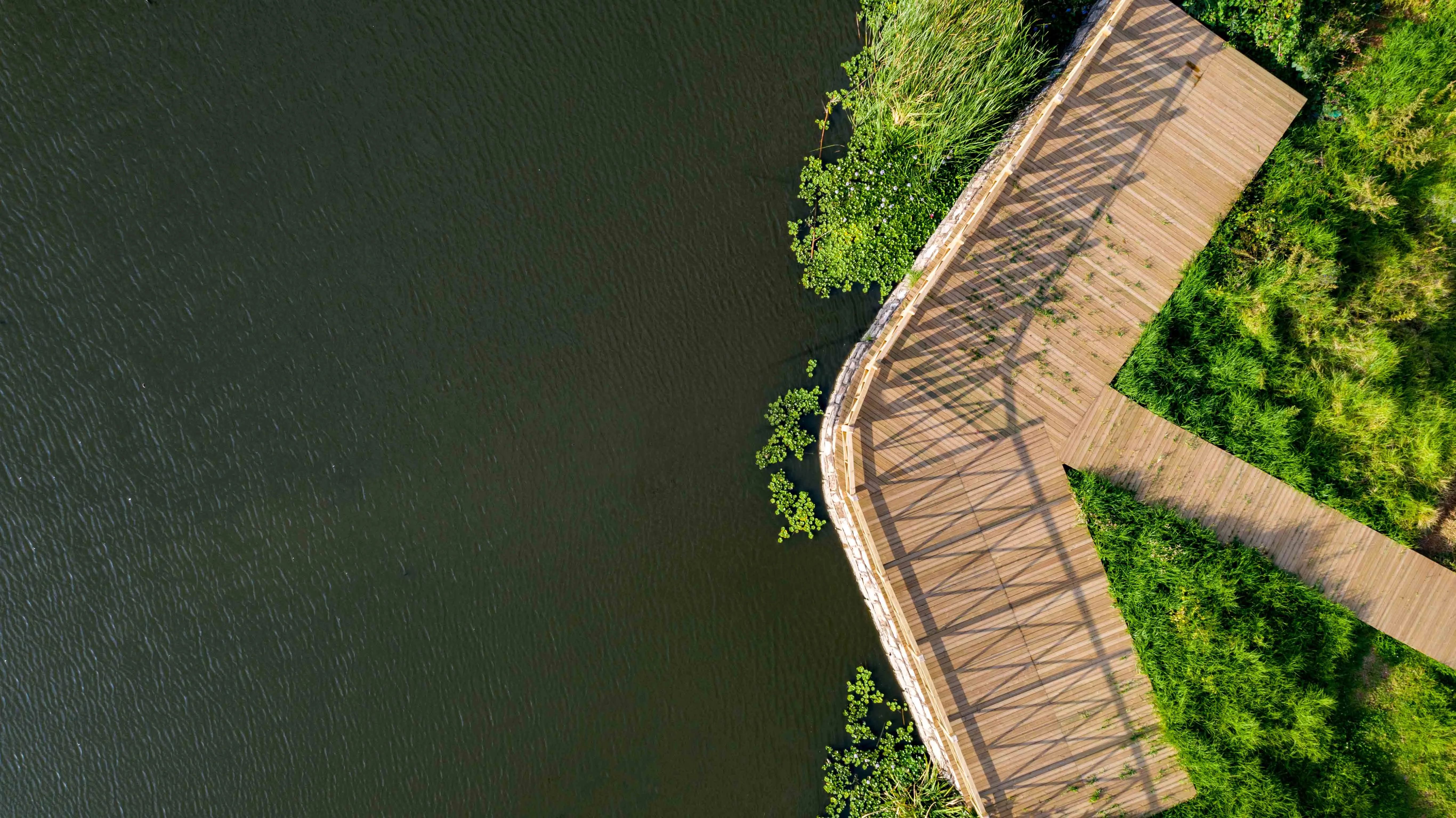  圆点设计丨昆明云海一号•湿地展示公园 景观设计 丨中国云南-65