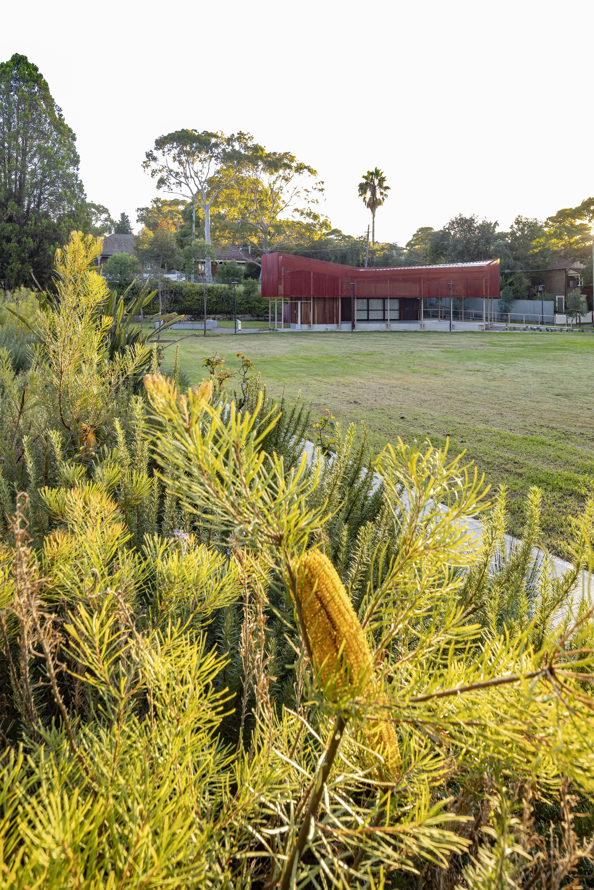 Hurlstone纪念保护区公园社区中心丨澳大利亚丨Sam Crawford Architects-42