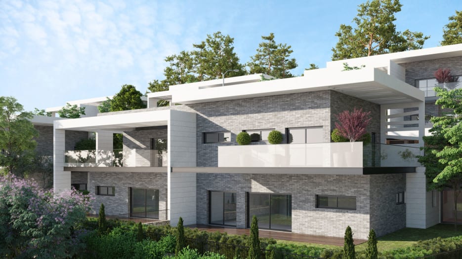 cows - Ando Studio-8