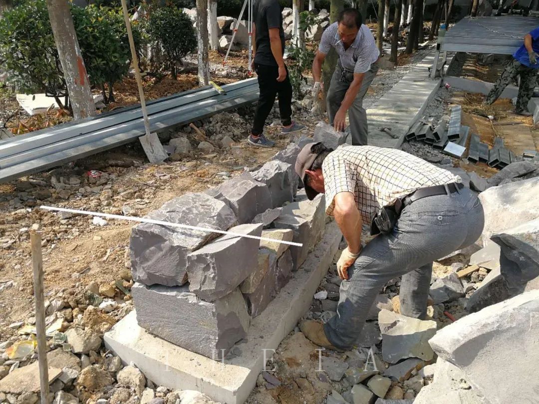 迪赛·东篱 | 闲田信步，采菊东篱-93