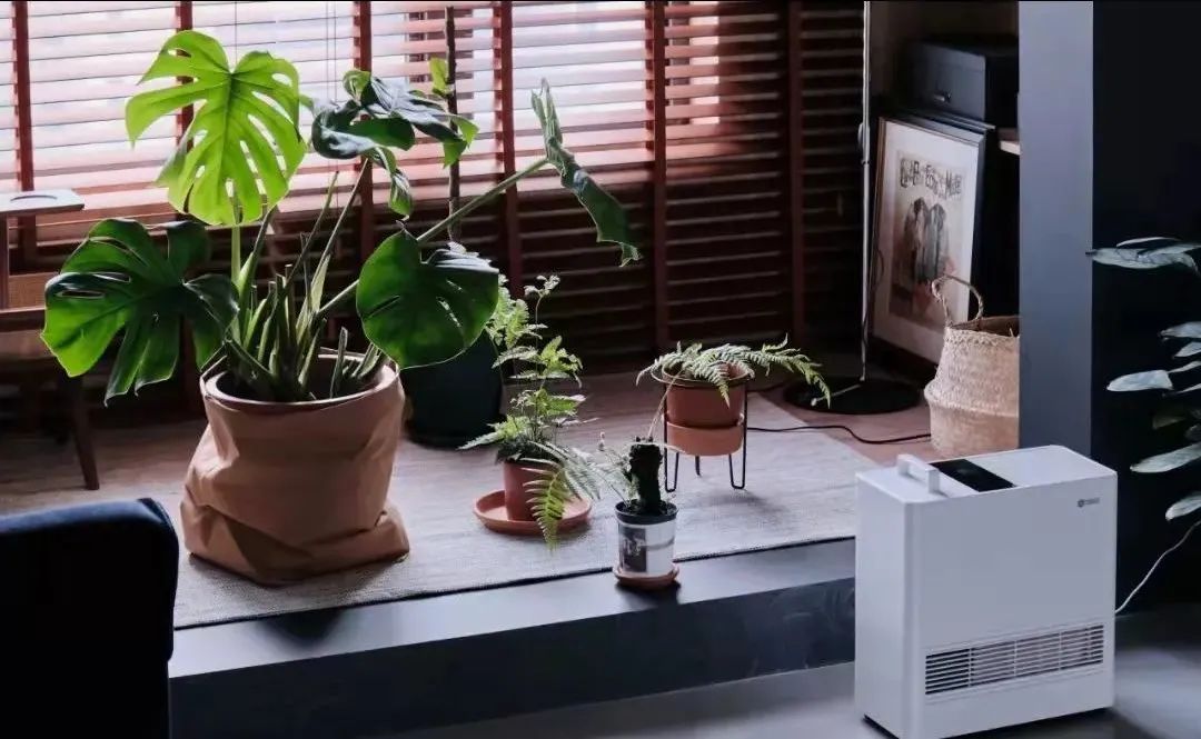 115㎡多彩之家丨哈芬设计周默-45