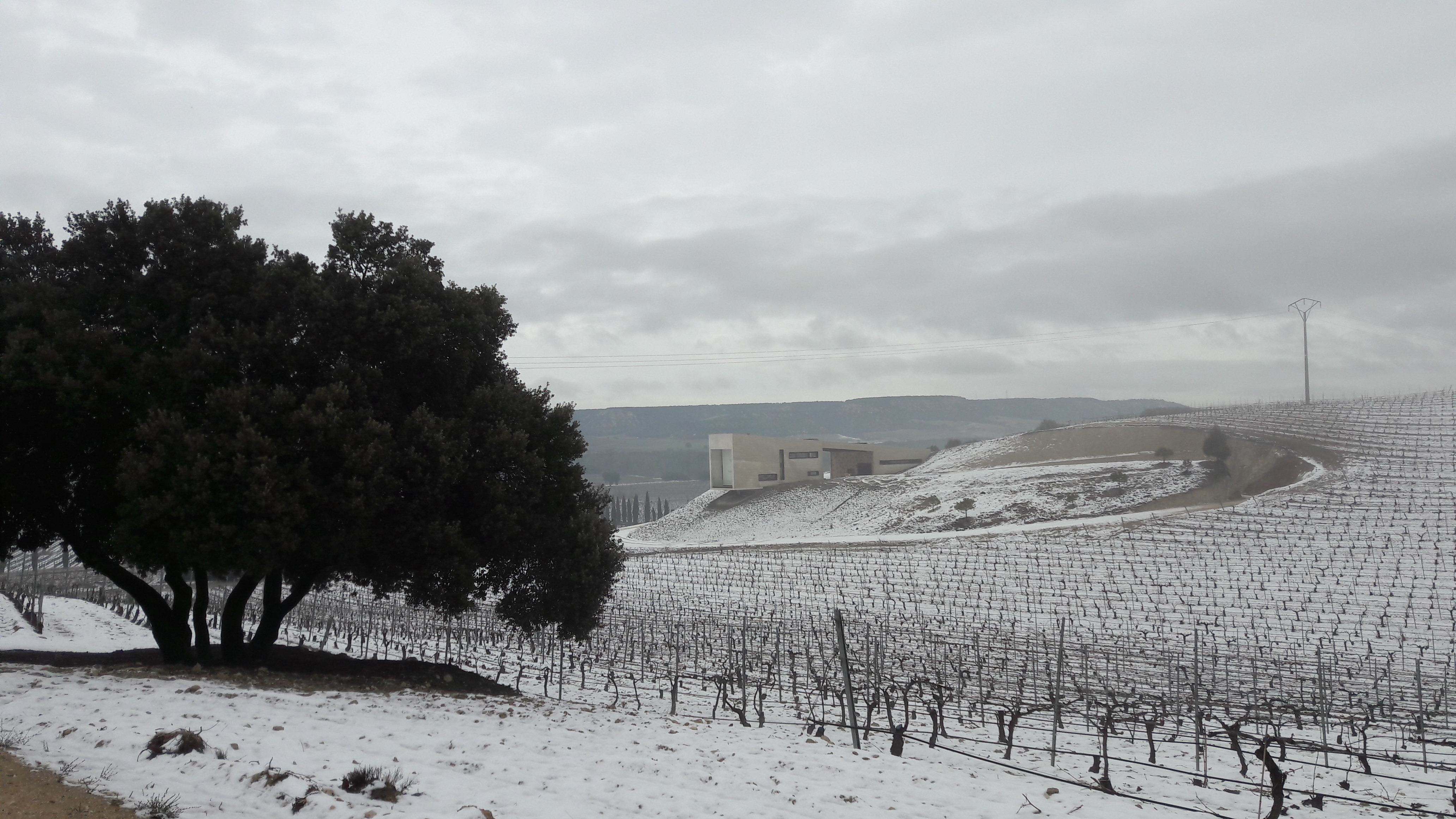 Vldemonjas 酒庄——绿色环保、高效能的现代酒庄设计-27