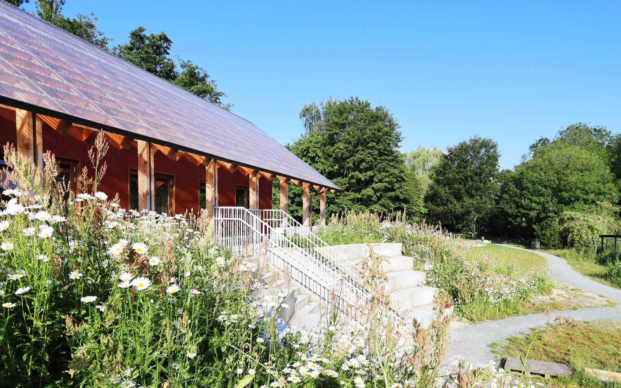 斯特伦博斯青年大楼丨比利时丨Atelier Vens Vanbelle-31