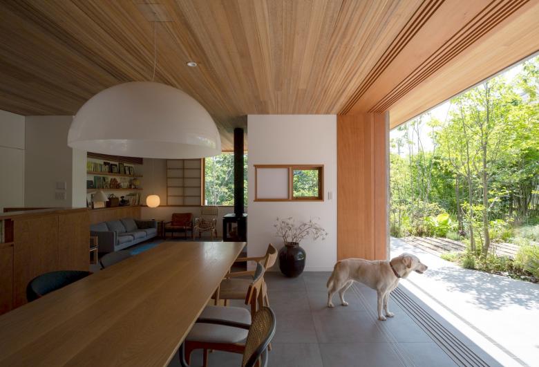 Yashima architect and associates丨Kamakura Terabun House丨日本-6