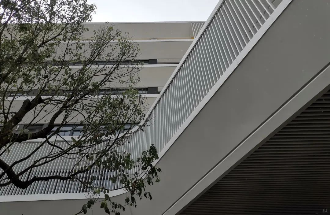 金榜小学丨中国厦门丨厦门合立道工程设计集团-91