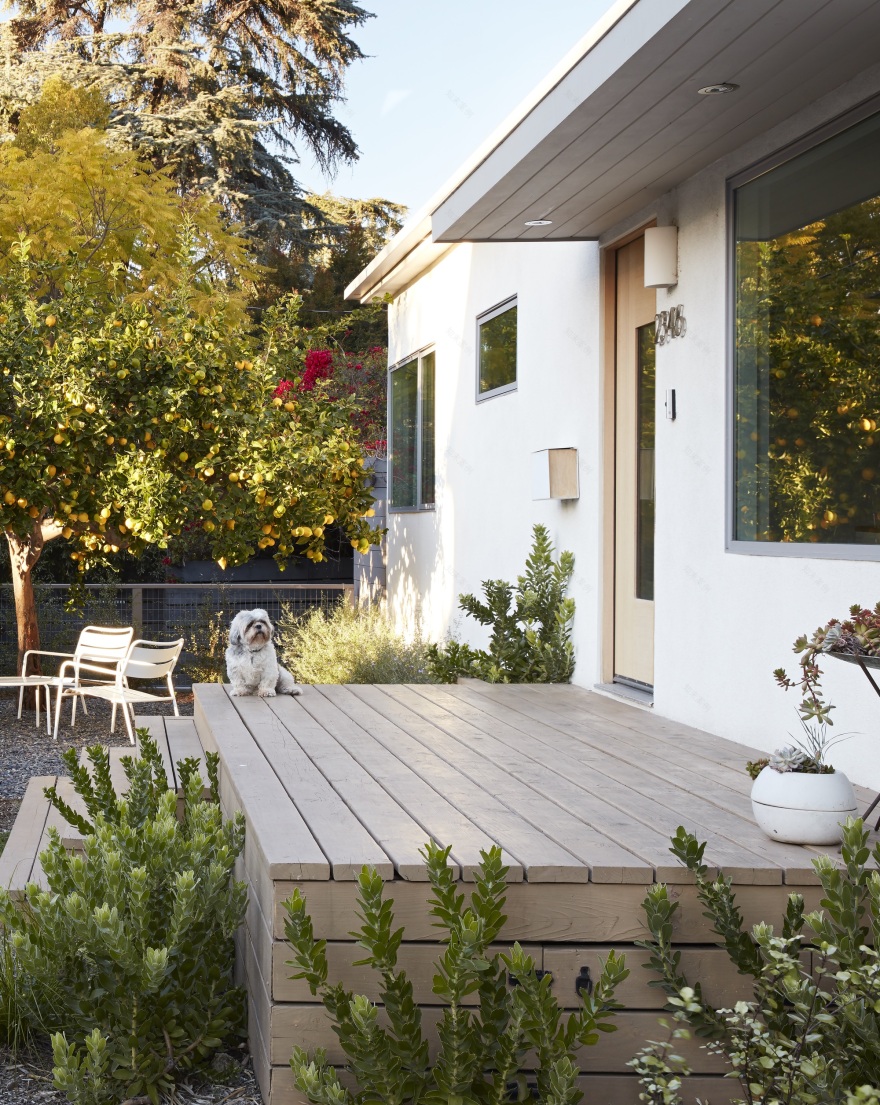 Silverlake Terrace Bungalow Renovation and Extension / ARA-la-28
