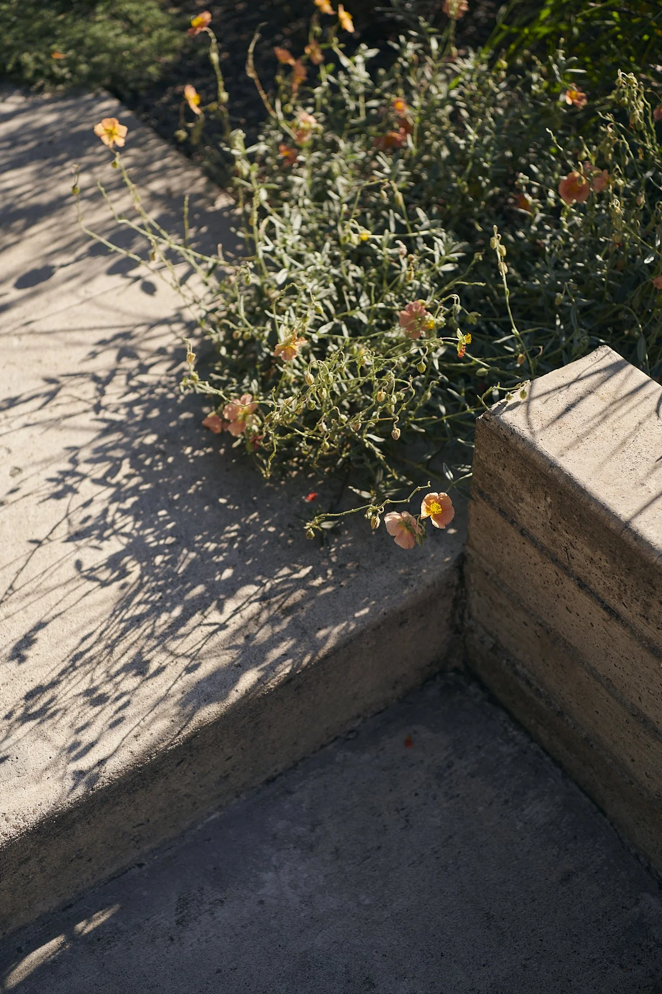 大型测试·大型狩猎之旅丨美国-17