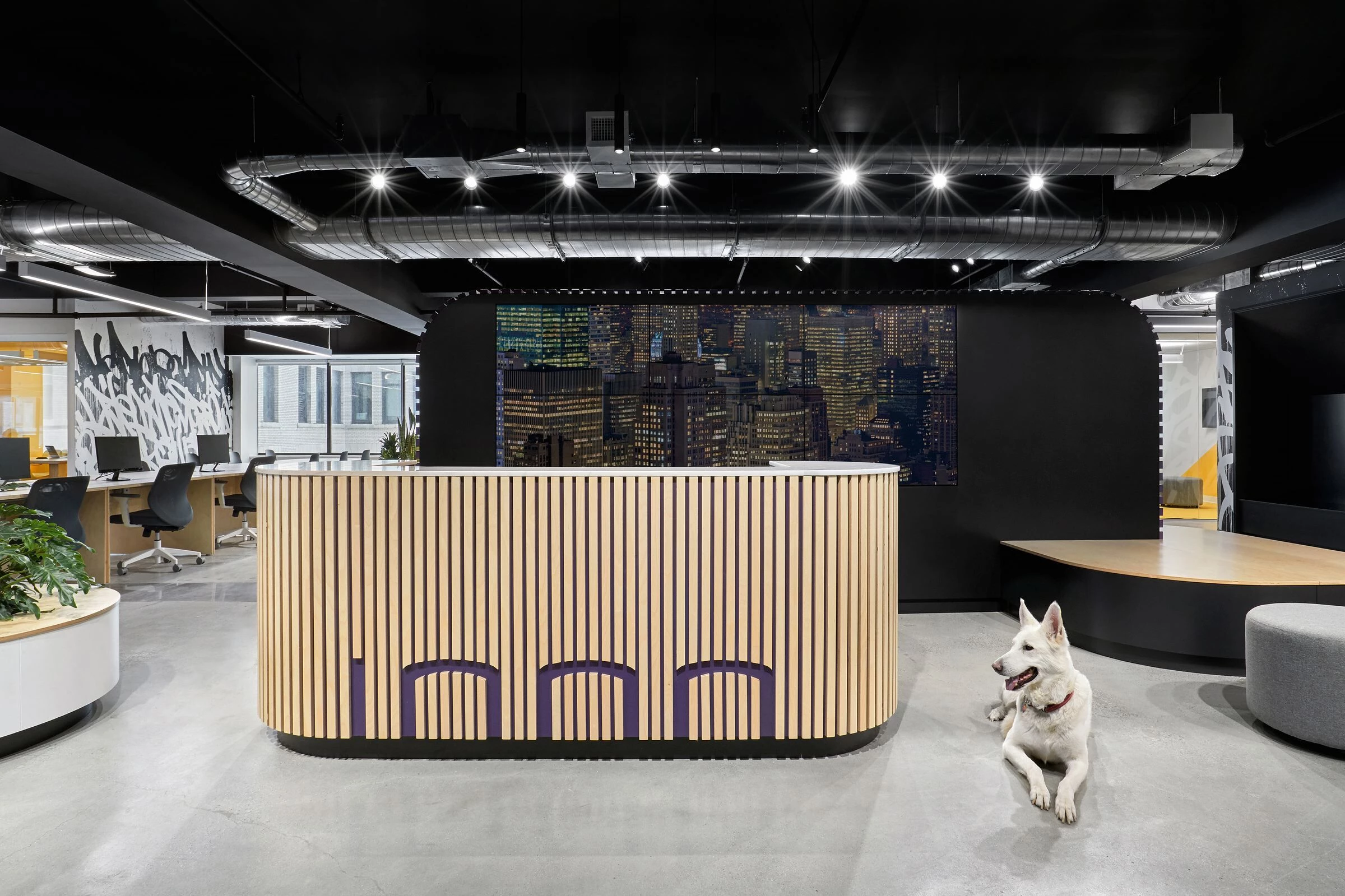 1000 Heads NYC 总部办公室丨美国纽约丨StudioSC-30