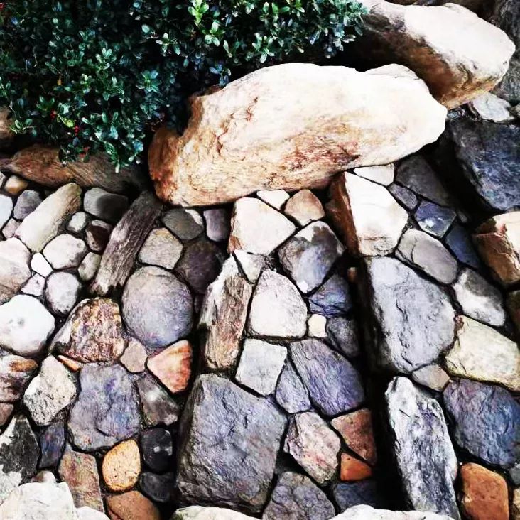 和汇造园匠心传承 | 大桥镐志山东实地授课-0