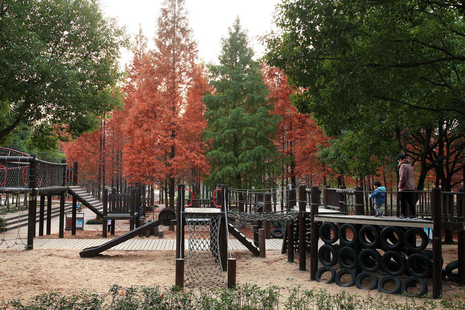 嘉定石冈门塘湿地公园-35