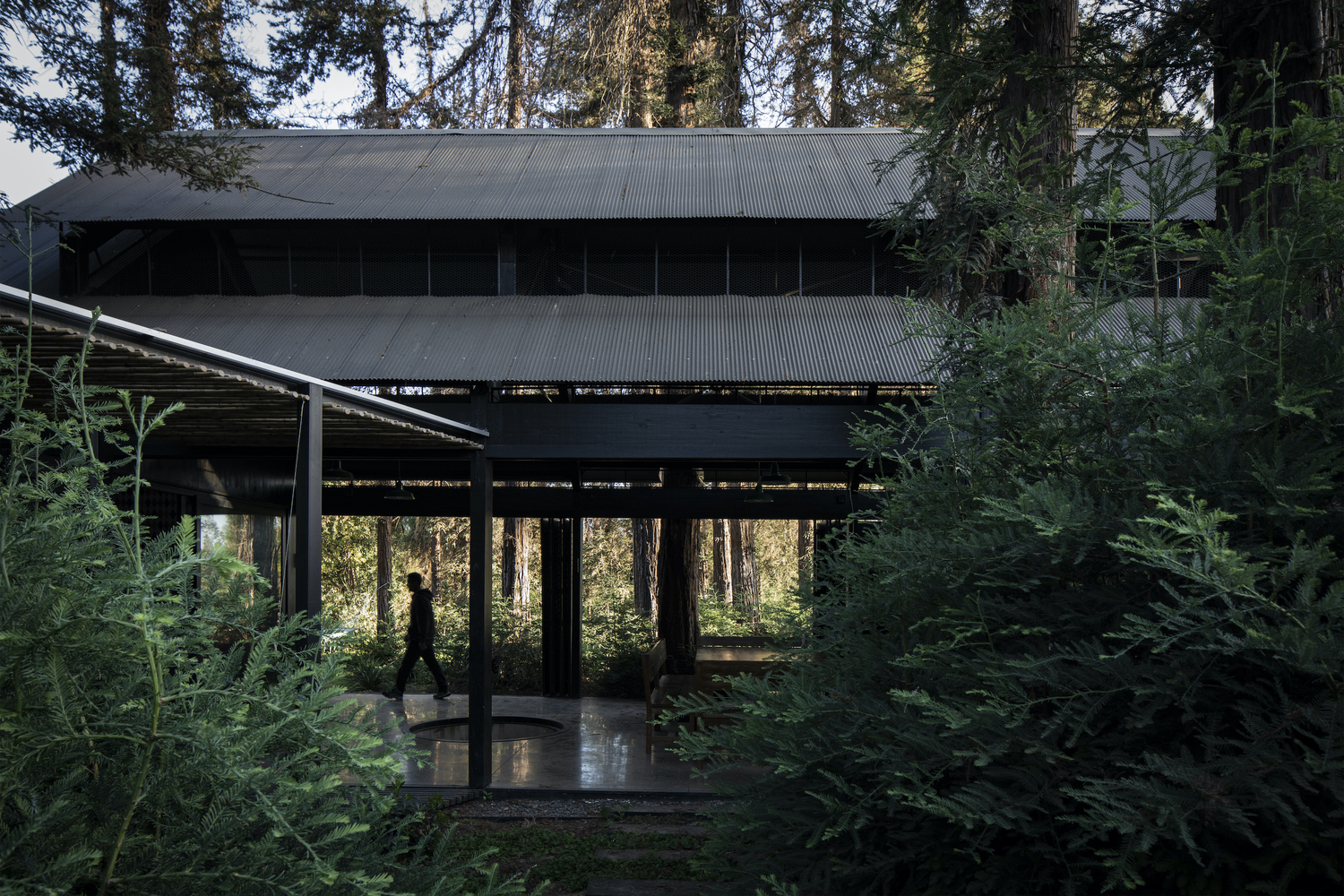 智利红木森林中的周末度假屋-30