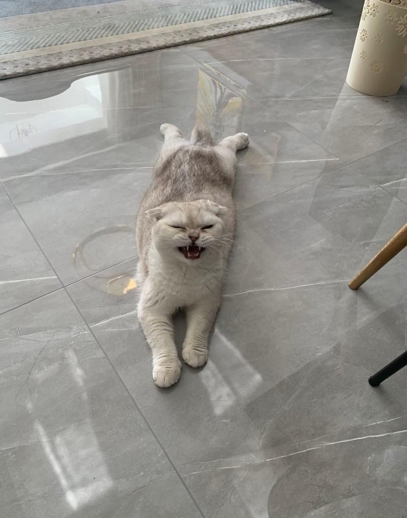 融合多种色彩的个性家居设计-22