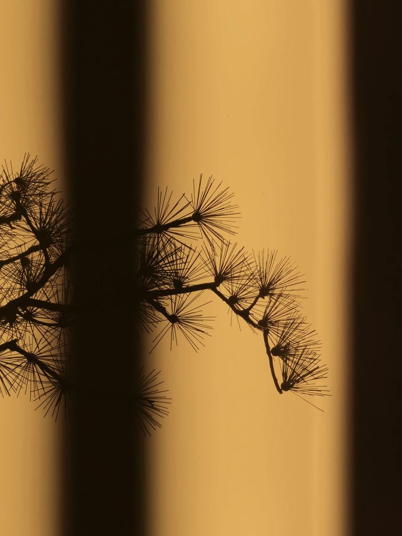 厦门建发·海玥和鸣营销中心 | 现代简约遇上东方美学-14