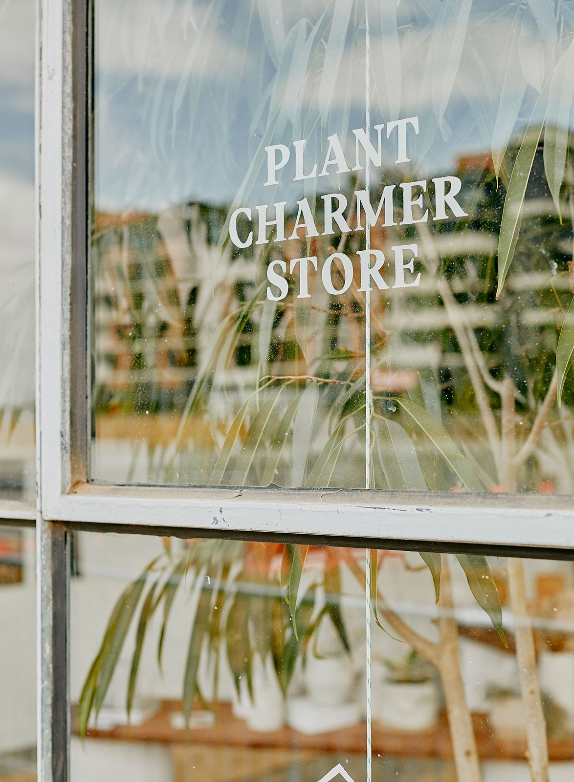 Plant Charmer 零售空间设计-2