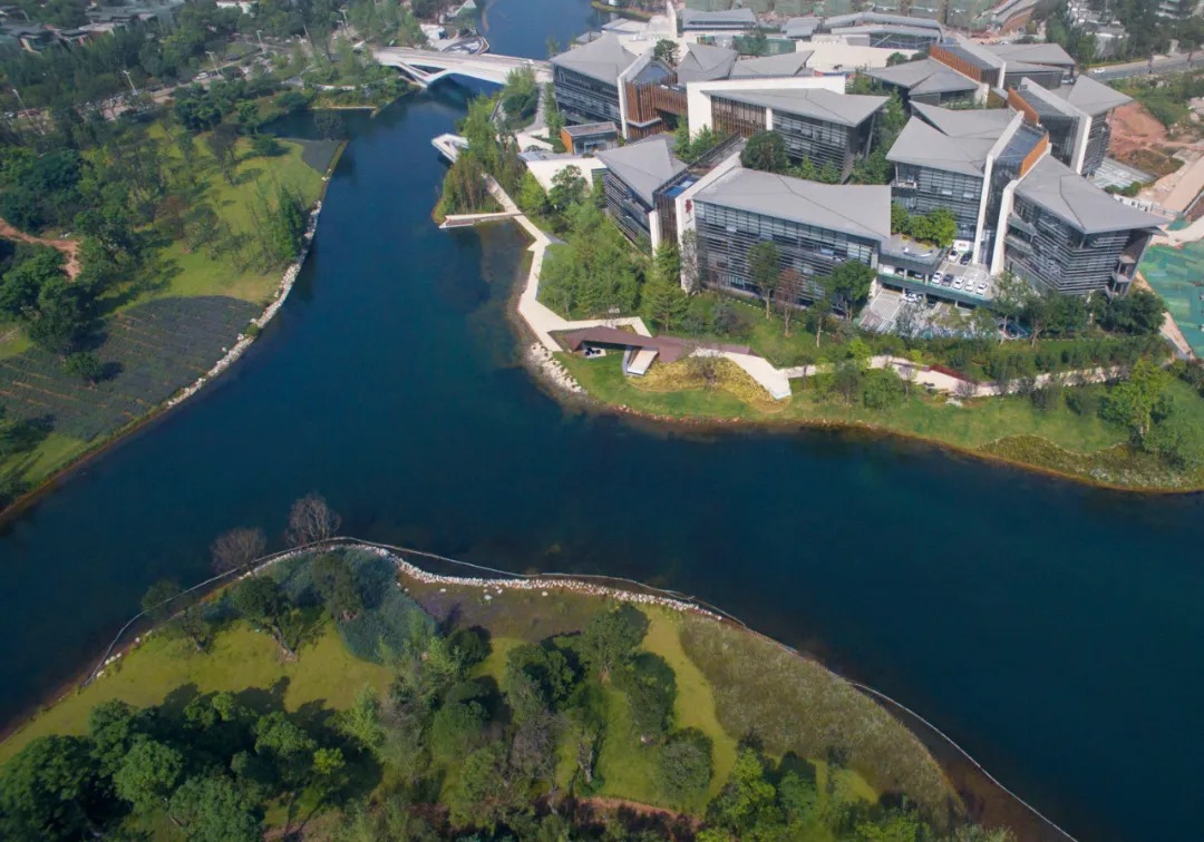  骏地设计丨成都麓湖郎酒集团总部 建筑设计 丨中国四川-10