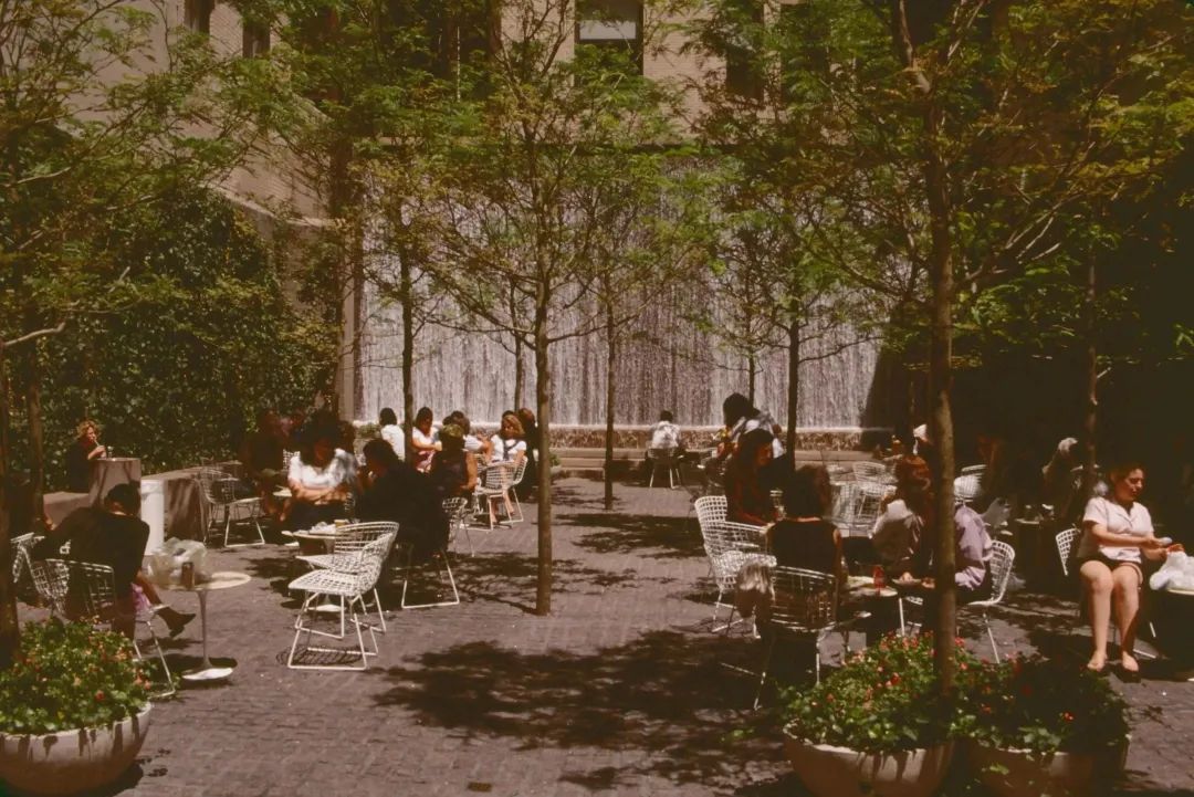 把生活放进温暖的街边口袋里 | 中新南京生态科技岛口袋公园计划-33