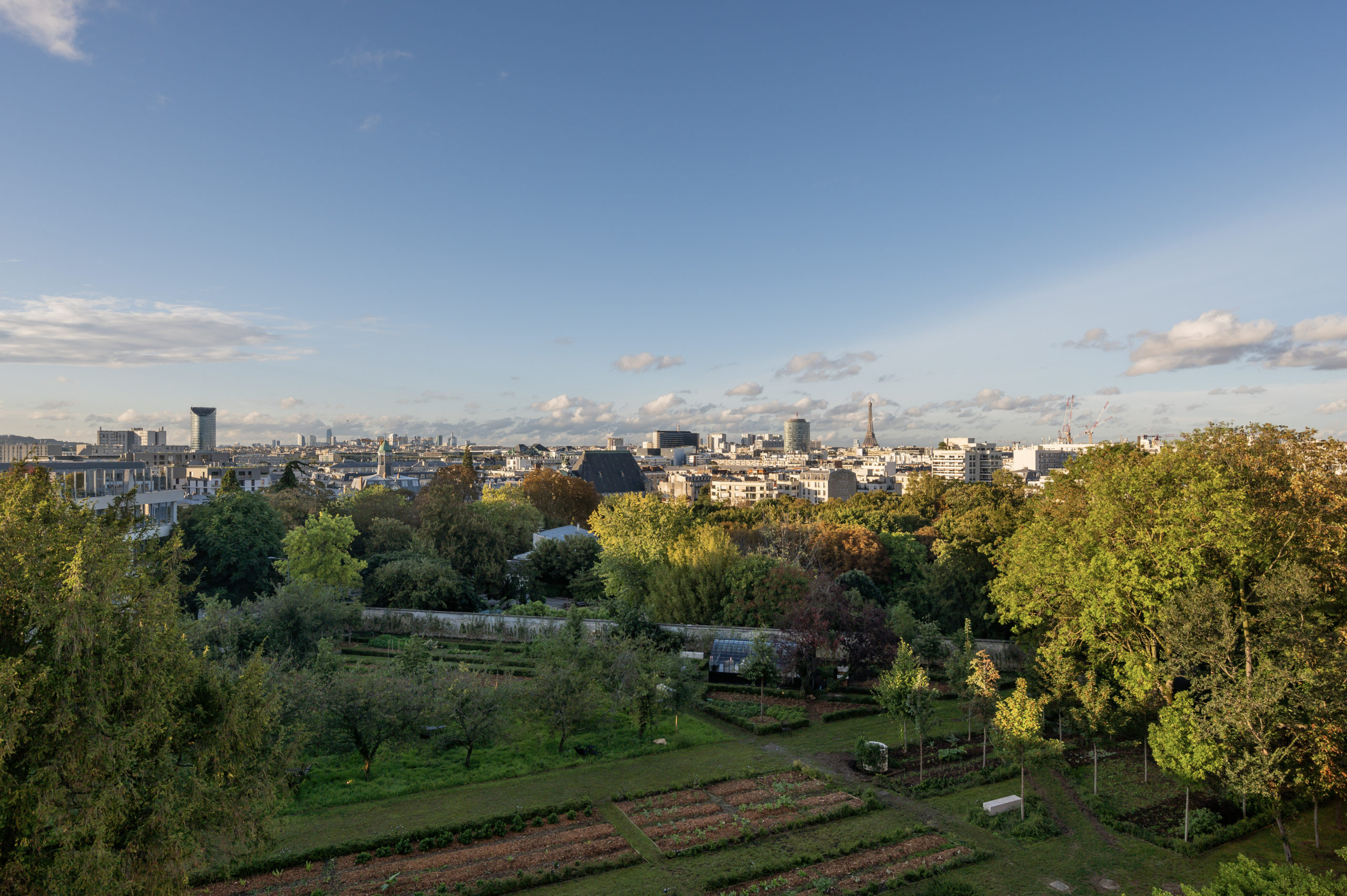 丨法国丨WILMOTTE & ASSOCIÉS-29