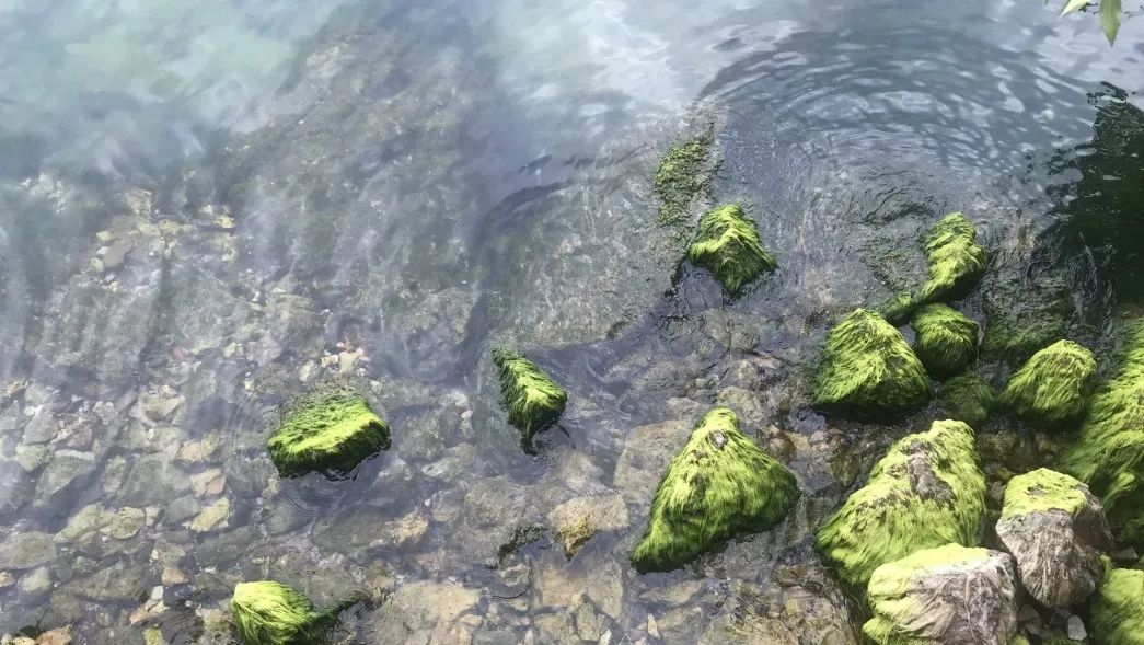 抚仙湖星空小镇 | 生态修复的人与自然和谐共生典范-53