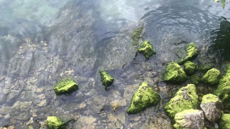 抚仙湖星空小镇 | 生态修复的人与自然和谐共生典范-53