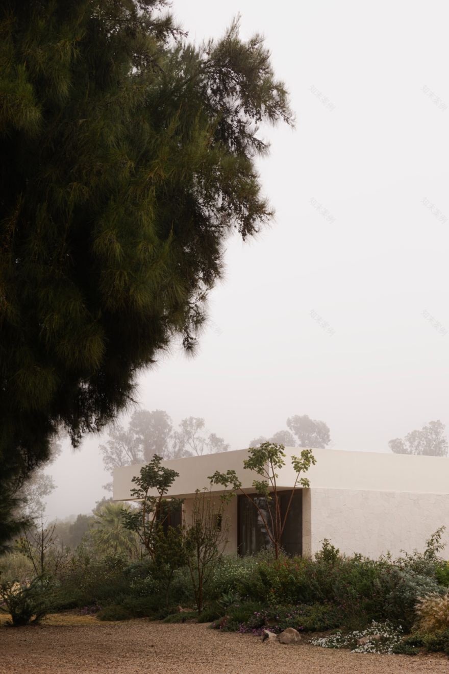 西恩古埃塔之家丨墨西哥丨Max von Werz,Ted Wolter-68